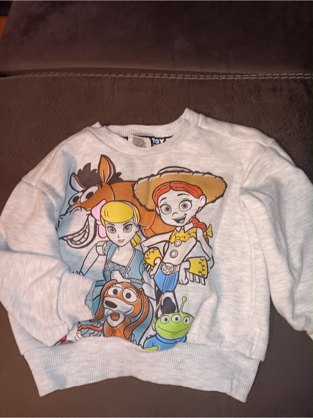 Disney Light Gray Kids Sweatshirt with Toy Story Characters